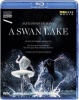 Arthaus Musik A Swan Lake: The Norwegian National Ballet Photo