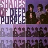 Shades of Deep Purple Photo