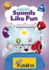 Sounds Like Fun DVD - in Precursive Letters Photo