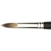 Jacksons Jackson's Procryl Round No. 10 Brush Photo