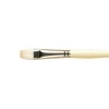 Pro Arte Series B Hog Bristle Oil / Acrylic Brush Photo