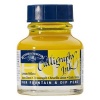 Winsor Newton Winsor And Newton Non Waterproof Calligraphy Ink - Yellow Ochre Photo