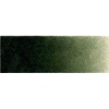 Old Holland Classic Oil - Green Earth Photo