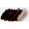 Lukas Studio Oil - Burnt Umber Photo