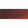 Rembrandt Talens Oil Colour Tube - Burnt Sienna Photo