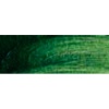 Rembrandt Talens Oil Colour Tube - Sap Green Photo