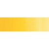Sennelier Oil Colour - Alizarin Yellow Lake Photo