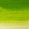 Winsor Newton Winsor & Newton Winton Oil - Chrome Green Hue Photo
