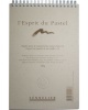 Sennelier Soft Pastel Paper Pad - Grey Grained Felt Paper With Interleaved Photo