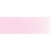 PanPastel - Permanent Red Tint Tint 8 Photo
