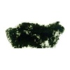 Rembrandt Talens Soft Pastel - Raw Umber TR408.2 Photo