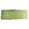 Schmincke Horadam Watercolour - Green Earth Photo