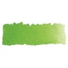 Schmincke Horadam Watercolour - Sap Green Photo