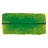 Blockx Watercolour - Sap Green Photo