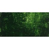 Gamblin Artist Oil Paint - Sap Green Photo
