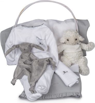 Photo of BebedeParis Essential Serenity Baby Gift Basket