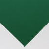 Daler Rowney Murano Pastel Paper - Holly Photo