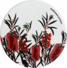 Maxwell Williams Botanic Garden Round Coasters Bottlebrush