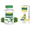 Moringa Capsules and Tea - Lemon & Ginger Infusion Photo