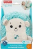Fisher Price Fisher-Price Calming Vibes Hedgehog Soother Photo