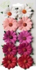 Bloom Enterprises Bloom Embellishments Flowers Chrysanthemums Photo