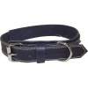 Huntlea Rhino Series - Heavy Duty Leather Collar Photo