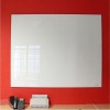 Parrot Products Parrot Glass Floating Magnetic Whiteboard Photo