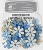 Little Birdie Sparkle Florettes - Aqua Splash Photo