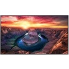 Samsung 55" QM55B LCD Monitor LCD Monitor Photo