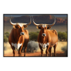 Fancy Artwork Canvas Wall Art :Two Afrikaner Cattle Standing - Photo