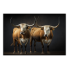 Fancy Artwork Canvas Wall Art :Two Ankole Bulls - Photo