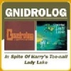 In Spite of Harry's Toe-nail/lady Lake Photo