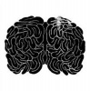 BRAiNMATH Brainmaths Photo