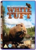 The Adventures of White Tuft Photo