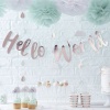 Ginger Ray Hello World - Back Drop Photo