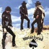 Ace of Spades Photo