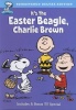 Warner Home Entertainment It's The Eagle Beagle Charlie Brown Photo