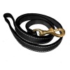 Huntlea Lion Leather Lead Photo