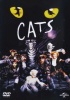 Cats Photo