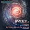 The Masters of Violin Photo