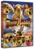 Treasure Buddies Photo