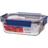 LocknLock Top Class Rectangle Container Photo