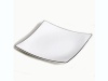 Royal Porcelain - Extreme Platinum Fish Plate - 21cm Photo