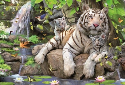 Photo of Educa White Tigers of Bengal - 1000 Piece Puzzle