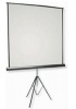 Parrot Screen Tripod - 245cm x 142cm Photo