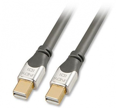 Photo of Lindy Mini DisplayPort Male to Male Cable -2m