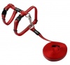 Rogz - 8mm AlleyCat Cat Lead/H-Harness - Red Photo