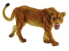 CollectA Lioness Photo