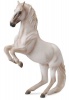 CollectA Lipizzaner Stallion Photo
