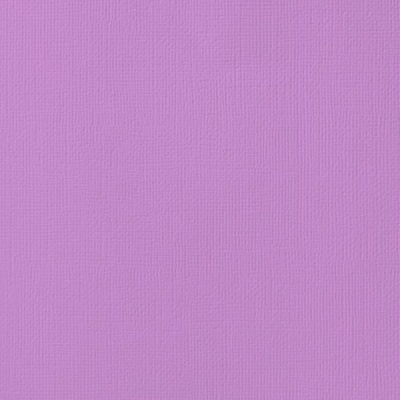 Photo of American Crafts Cardstock 12x12 Textured - Orchid